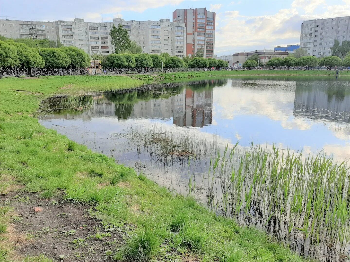 Пруд южный тюмень фото Новости / Тюменская городская Дума VIII созыва