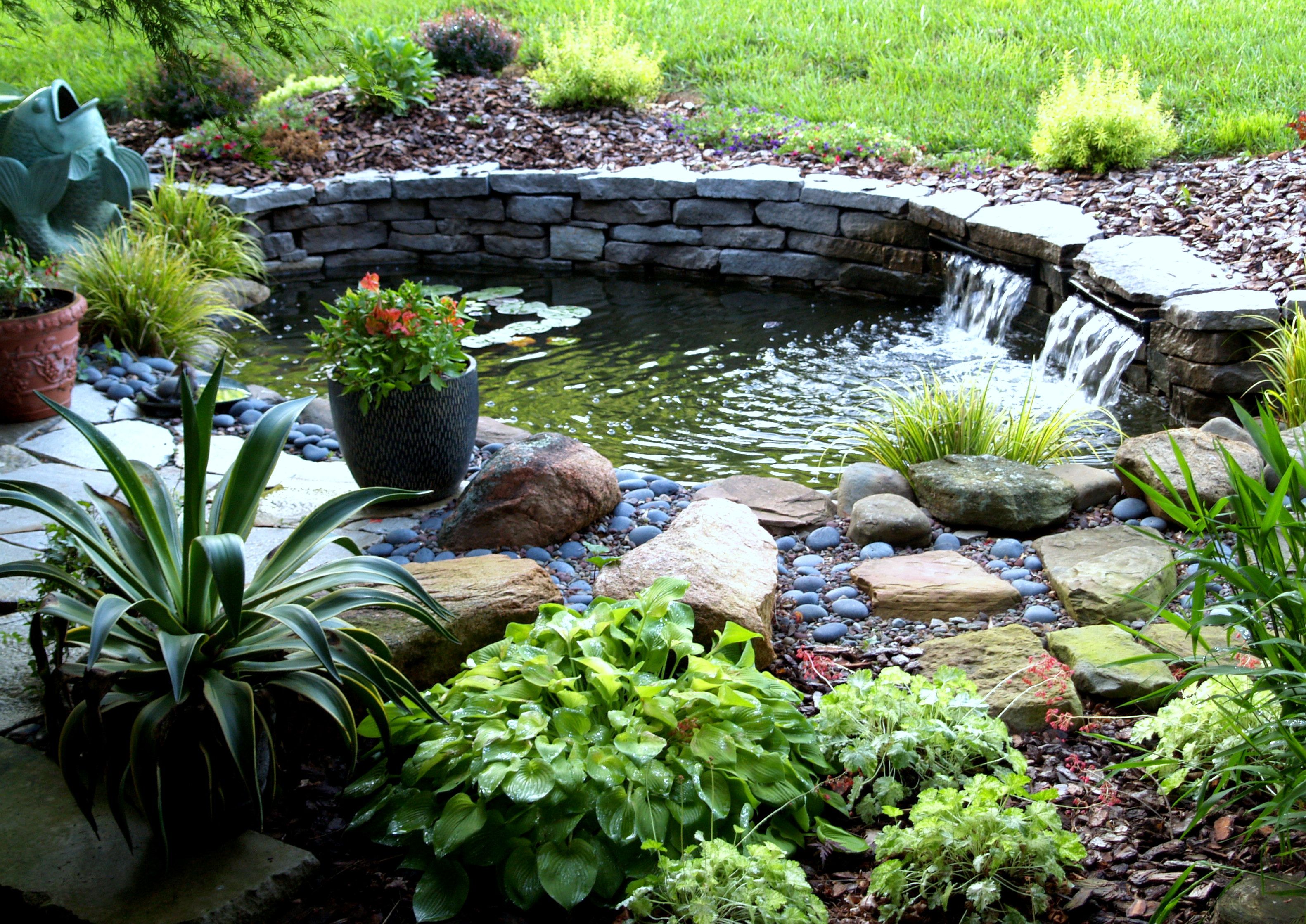 Прудики садовые фото Stone pond with little waterfall Small backyard gardens, Pond landscaping, Small