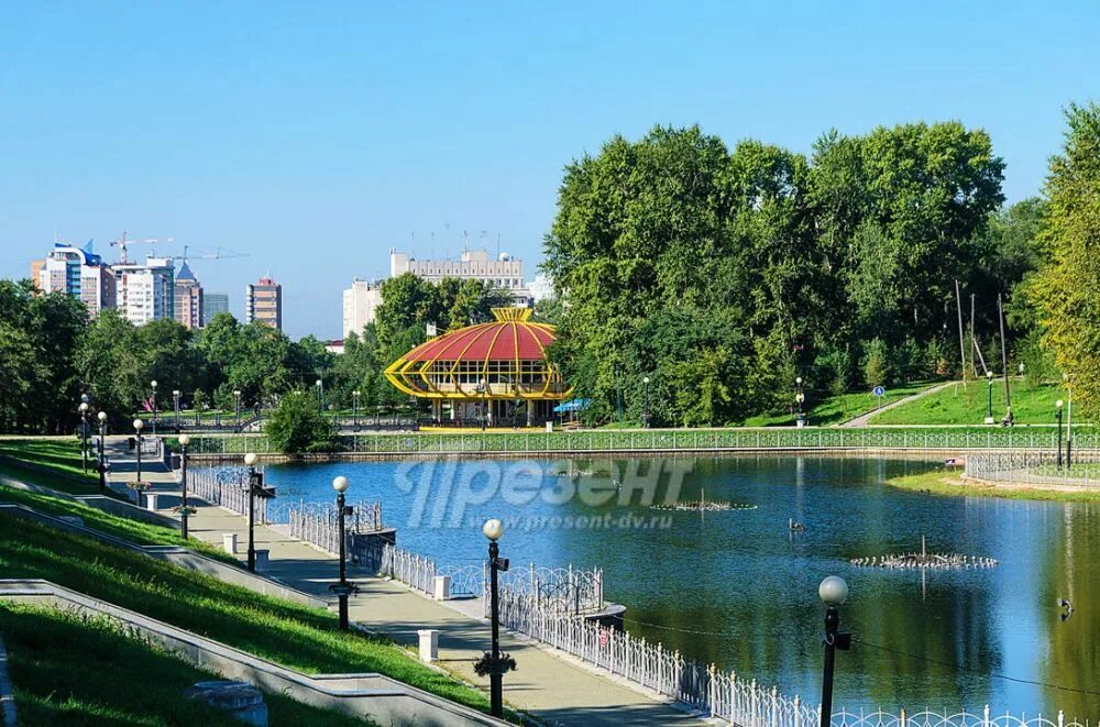 Пруды хабаровска фото Городские пруды