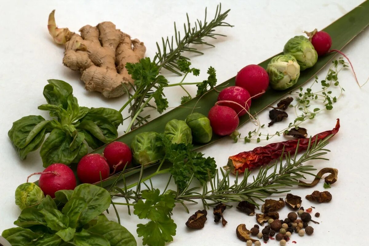 Пряные овощи фото Free Images : plant, dish, food, herb, produce, vegetable, still life, radish, v