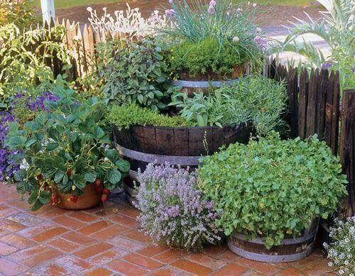 Пряные травы для огорода многолетние фото 35 Herb Container Gardens Pots & Planters Saturday Inspiration & Ideas - bysteph