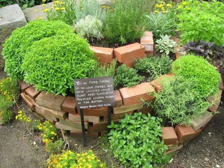 Пряные травы на огороде фото 21 креативная идея спиральных клумб Herb garden design, Herb garden pallet, Diy 