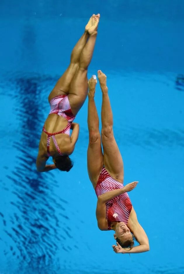 Прыжки в воду женщины фото Olympics: Day 2 Swimmers body, Women's diving, Olympic swimmers