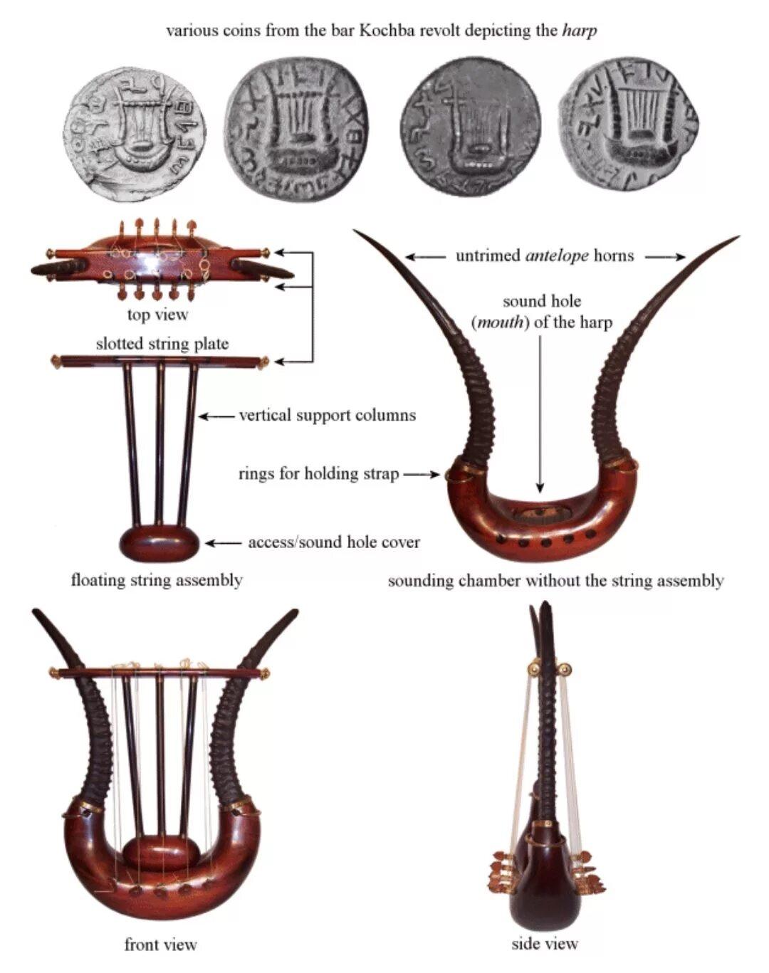 Псалтирь инструмент фото What is the 'ten stringed' instrument in Psalm 33, Psalm 92 and Psalm 144? - Bib