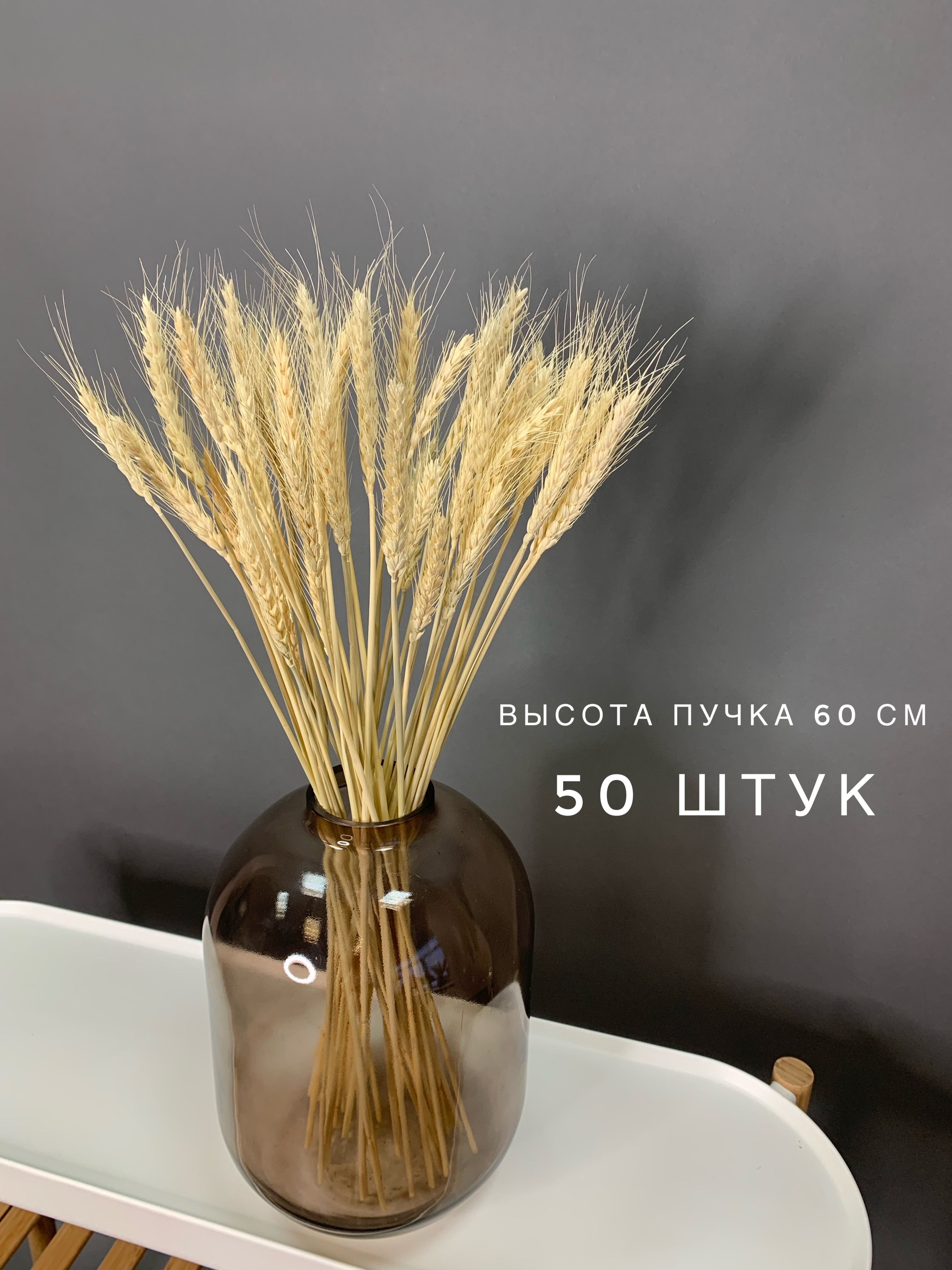 Пшеничная 55 саратов фото Сухоцветы AM HOME DECOR Пшеница, 55 см, 100 гр купить по выгодной цене в интерне