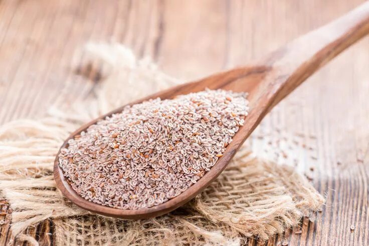 Псиллиум как выглядит растение Az útifűmaghéj hatékony emésztésserkentő. Psyllium, Remèdes naturels, Abaisser l