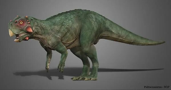 Пситтакозавр сибирский фото Psittacosaurus - Work in progress - Imgur