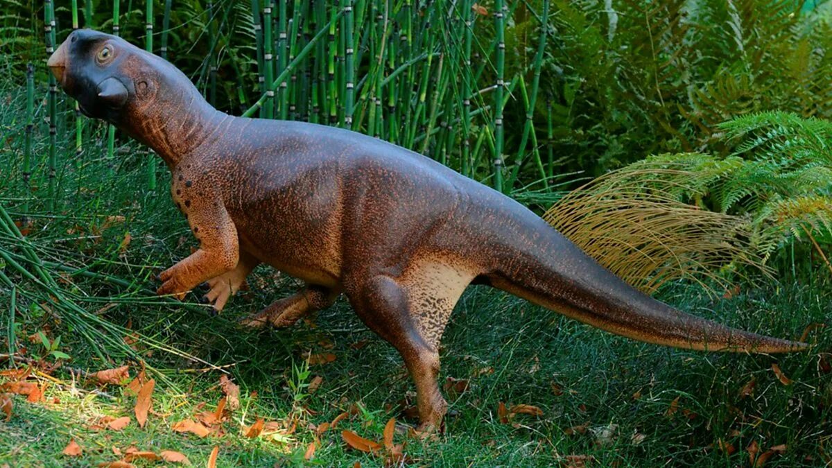 Пситтакозавр сибирский фото BBC World Service - The Newsroom, Most Accurate Reconstruction of a Dinosaur Eve