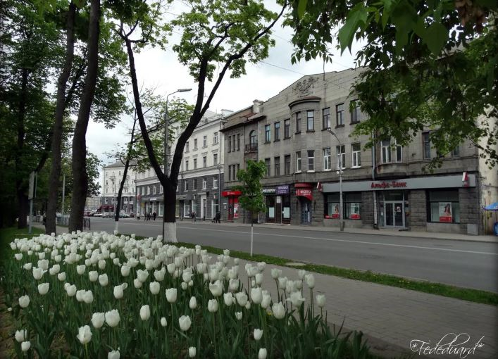 Псков фото улиц Тем, кто, приезжая в Псков, качает головой Люблю Псков Дзен