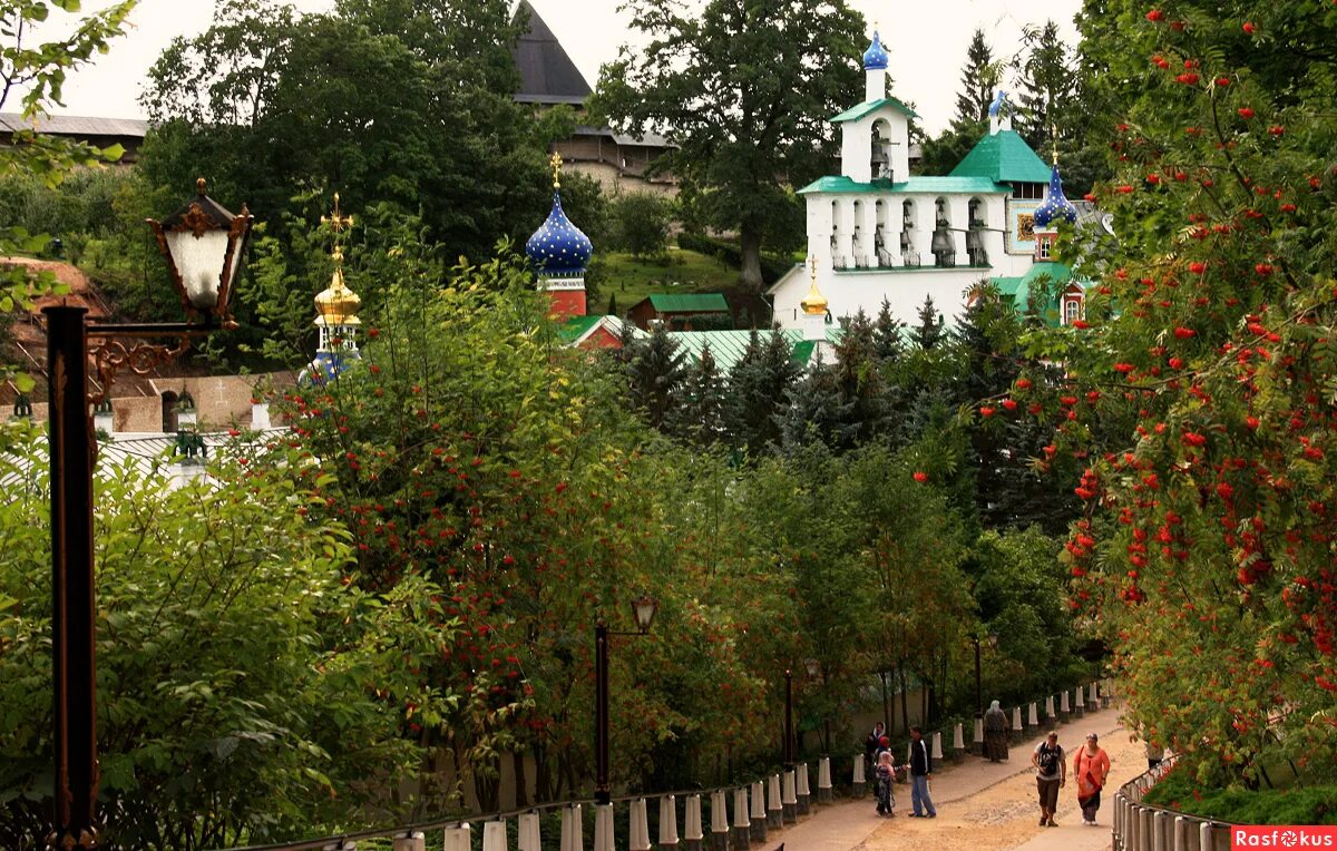 Псково печерский монастырь фото Фото: Псково- Печёрский монастырь.. Фотограф Frosa. Путешествия. Фотосайт Расфок