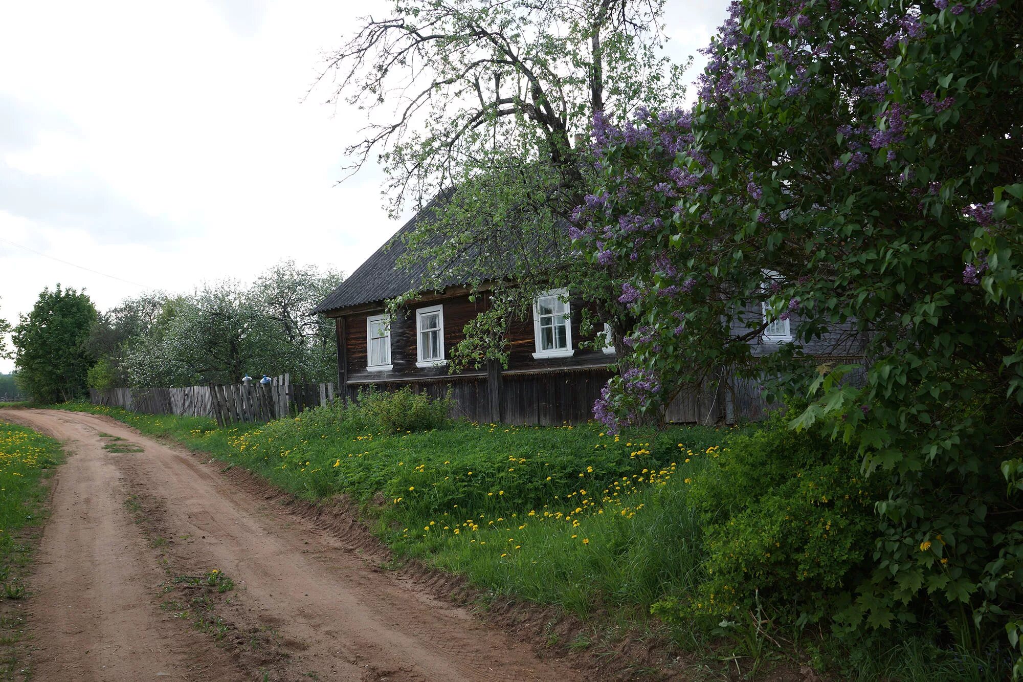 Псковская область фото деревень Псковские деревня