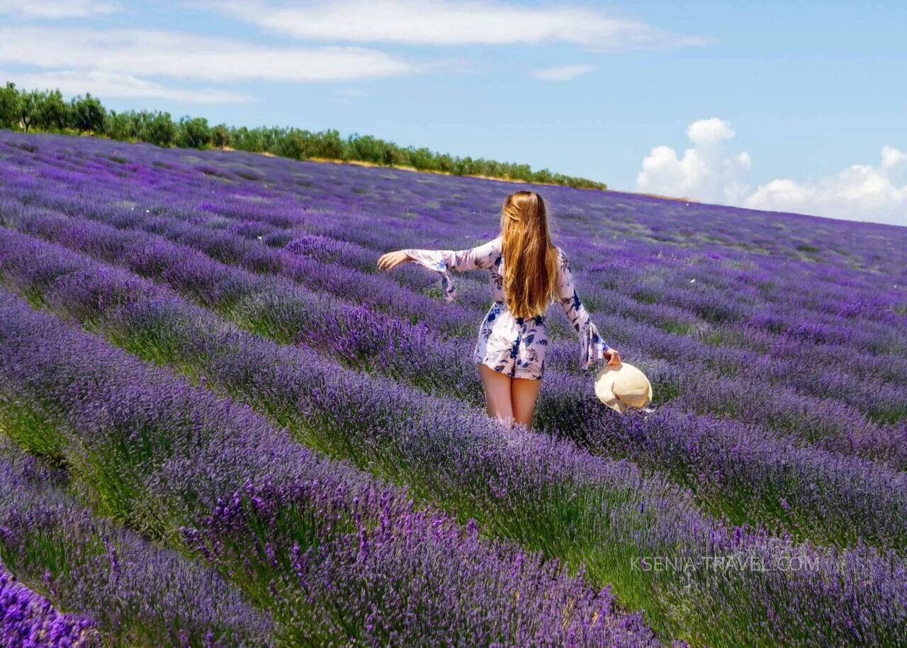 Пт лавандовые поля фиалка фото Фототур и фотосессия: Лавандовые поля Халкидики, Греция