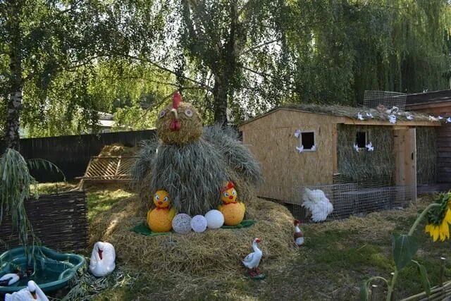 Птичий двор ул куйбышева 3а владимир фото Фестиваль "Птичий двор" 2019, Токаревский район - дата и место проведения, прогр