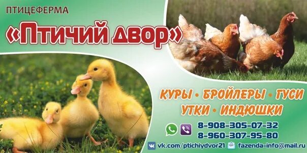 Птичий двор ул водников 7 буденновск фото КУПЛЮ,ПРОДАМ,ОБМЕНЯЮ. Продукты из деревни.Фермерское хозяйство.Чувашия ВКонтакте