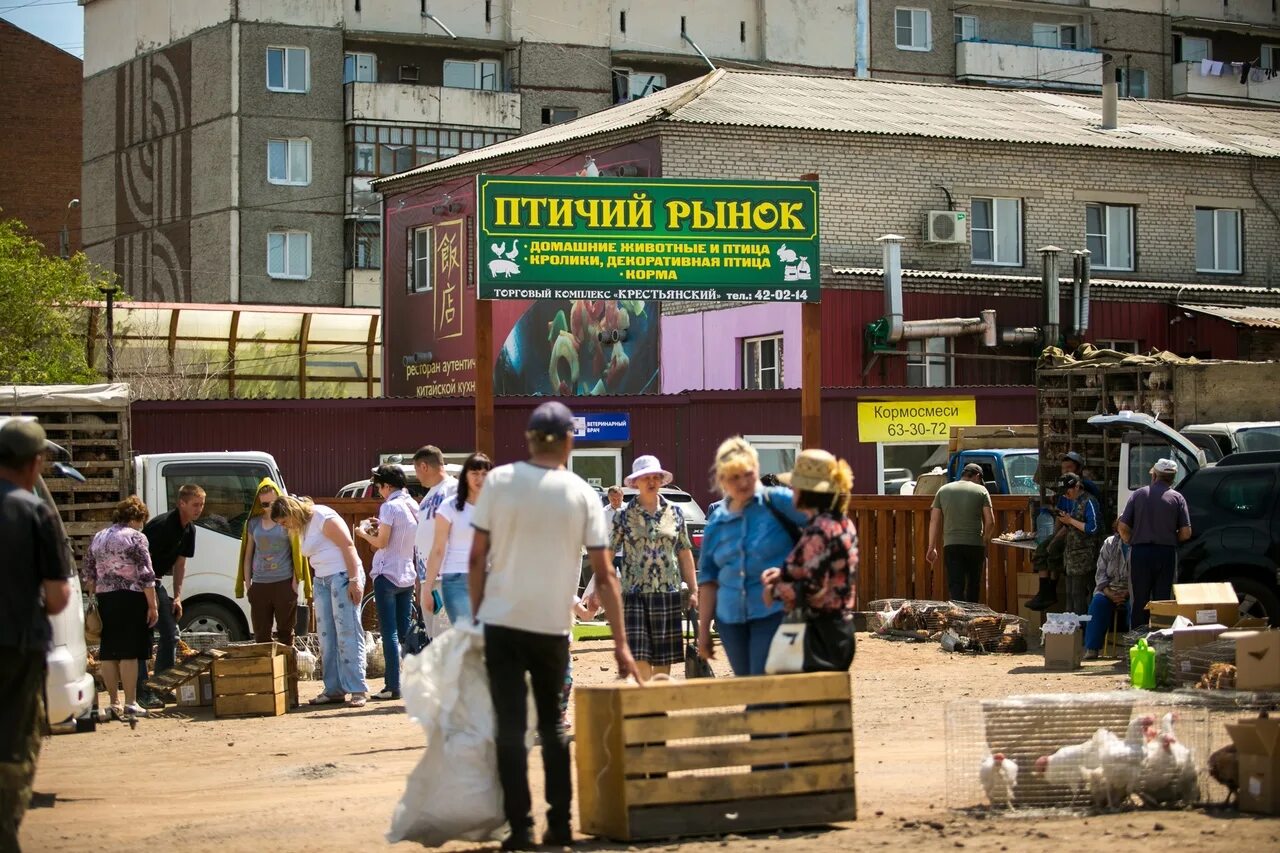 Птичий рынок ул мартына межлаука 13 фото NO BIRD MARKETS ! Extras "There is a beastly Babi Yar near the Bird Market. Ther