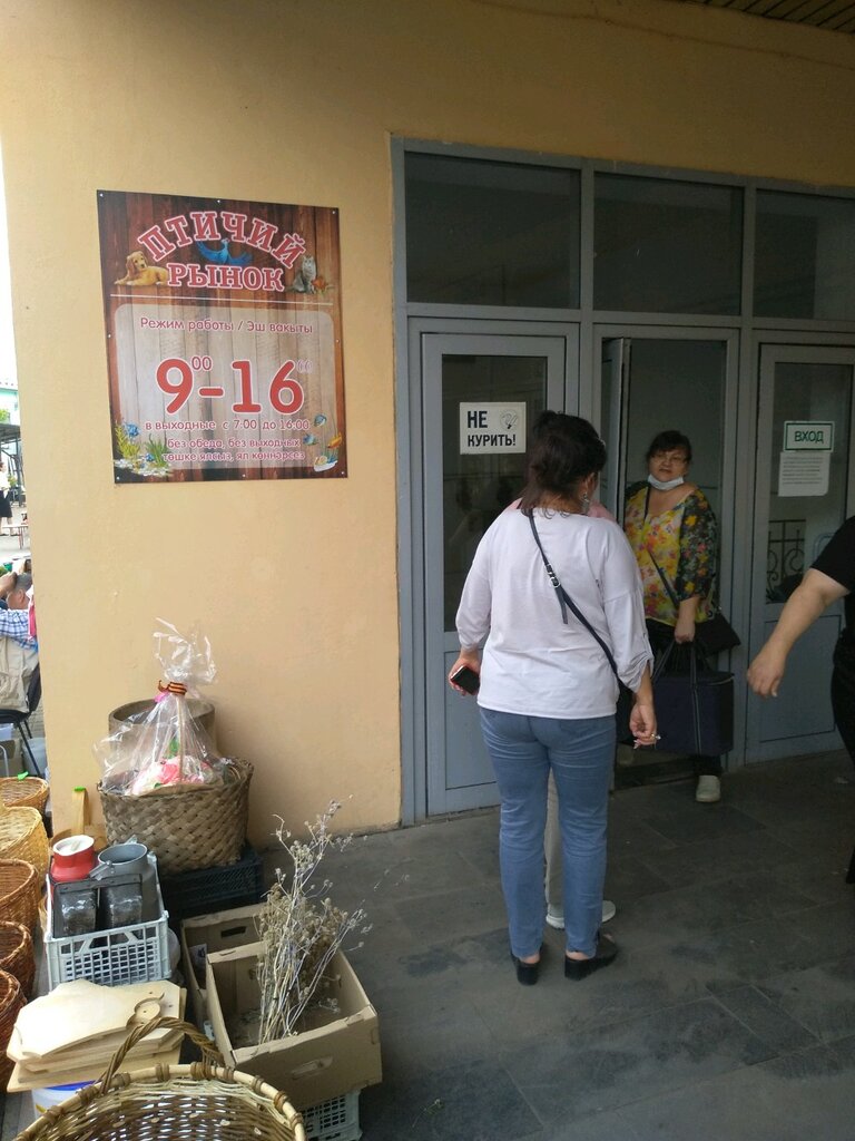 Птичий рынок ул мартына межлаука 13 фото Птичий рынок, pet store, Russia, City of Kazan, Martyna Mezhlauka Street, 13 - Y