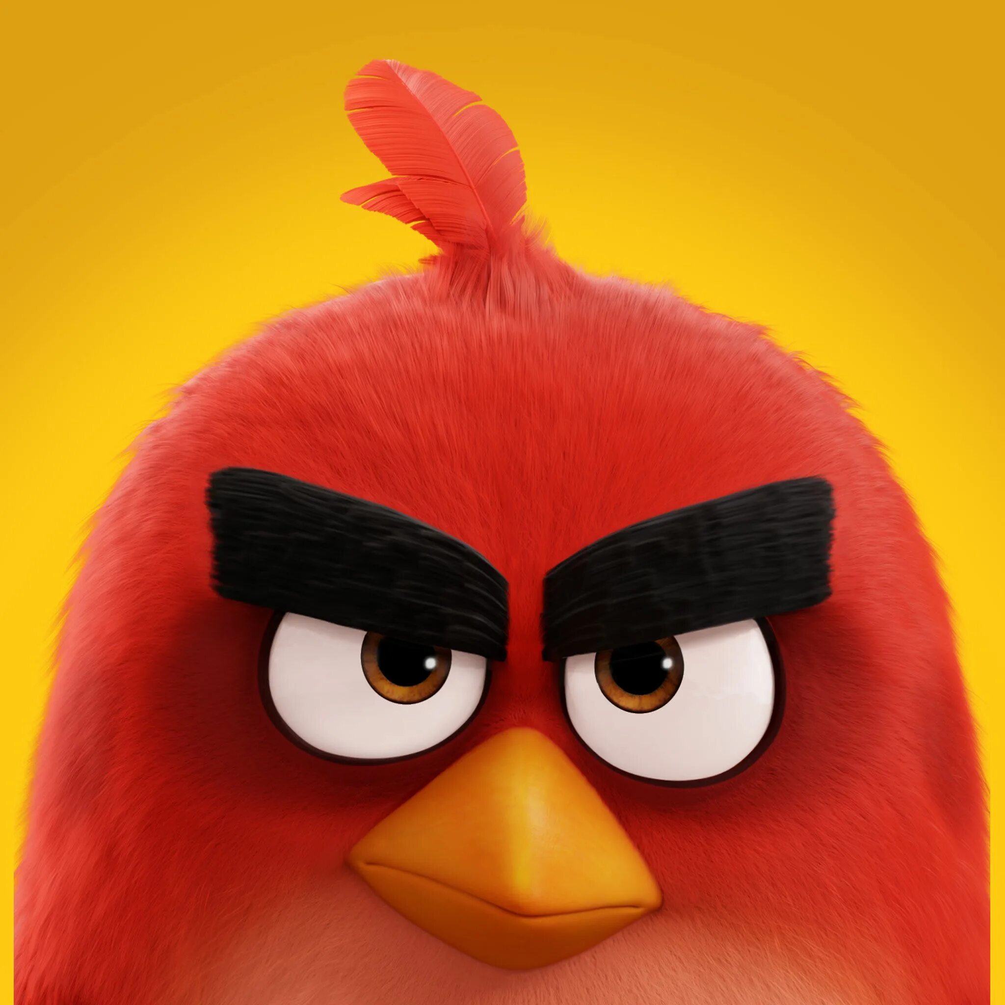 Птица энгри бердз фото red angry bird - Bing Fotografía estética grunge, Personajes, Estética grunge