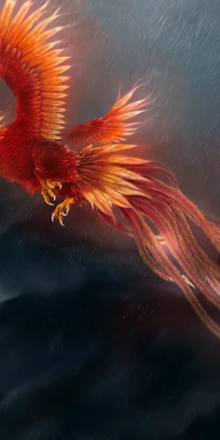 Птица феникс фото настоящие как выглядит Mobile wallpaper: Fantasy, Bird, Phoenix, Fantasy Animals, 394249 download the p