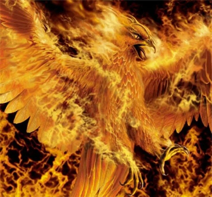 Птица феникс реальное фото THE GOLDEN PHOENIX Symbol of Immortality, the Phoenix lives a long life, and the