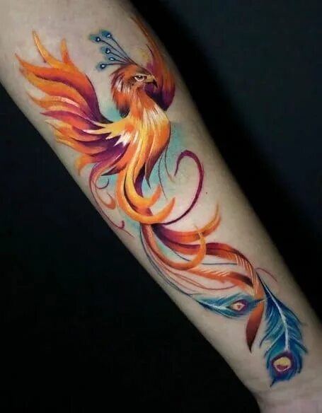 Птица феникс тату фото Phoenix Tattoos: Meanings, Artists, Tattoo Designs & Ideas Phoenix tattoo design