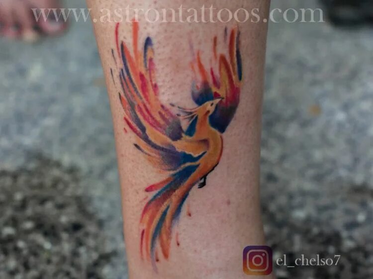 Птица феникс тату фото на руке Colorful phoenix tattoo done by Pradeep Junior @ Astron Tattoo Studio Bangalore 