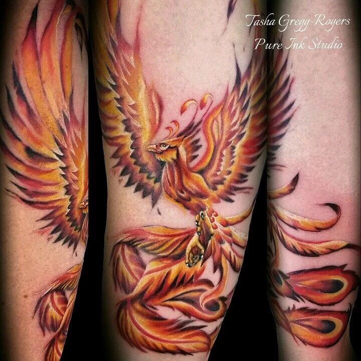 Птица феникс тату фото на руке Watercolor style phoenix tattoo Tattoo portfolio, Tattoos, Phoenix tattoo