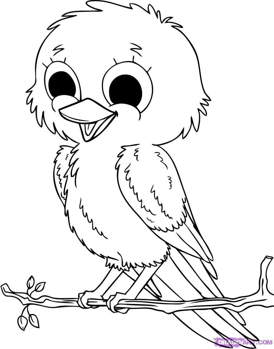 Птица фото раскраска coloring: Baby animals coloring pages Bird coloring pages, Cute coloring pages, 