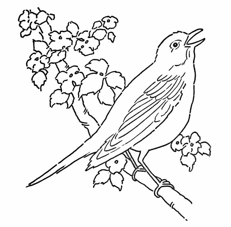 Птица фото раскраска art pages Line Art - Coloring Page - Bird with Blossoms - The Graphics Fairy Bir