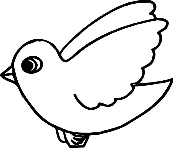 Птица фото раскраска Simple Bird Coloring Page ⋆ coloring.rocks! Bird coloring pages, Birds flying, C