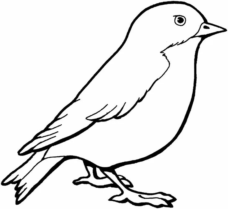 Птица фото раскраска Birds Coloring Pages to Knowing the Kind of Birds Name Simple bird drawing, Bird