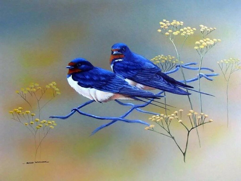 Blue Bird Layer Paint by charfade on DeviantArt Bird drawings, Bird pictures, Bi