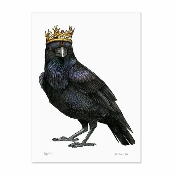 Птица с короной на голове фото Three Eyed Raven in a Game of Thrones Crown A3 Print - Etsy UK