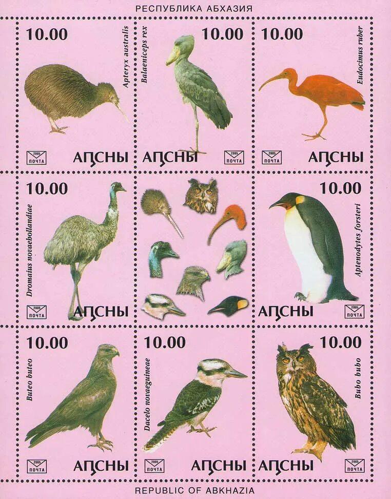 Птицы абхазии фото и названия Birds.