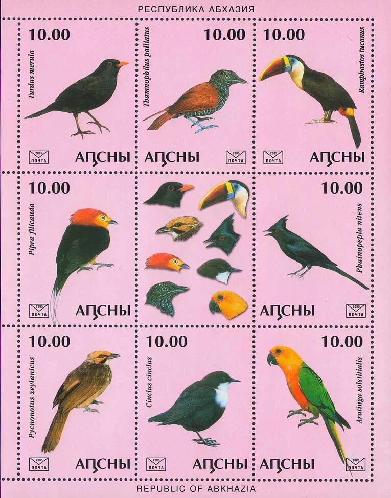 Птицы абхазии фото и названия Birds.