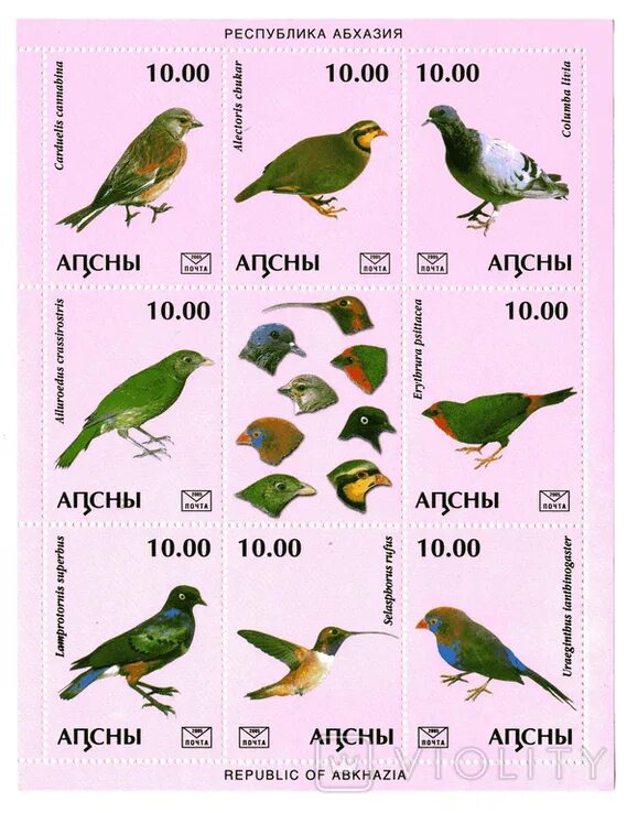 Птицы абхазии фото и названия Абхазия 2005 Птицы. Фауна. Блок - "VIOLITY"
