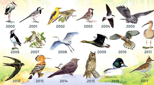 Птицы беларуси фото и название Птицу 2019 года выбирают в Беларуси