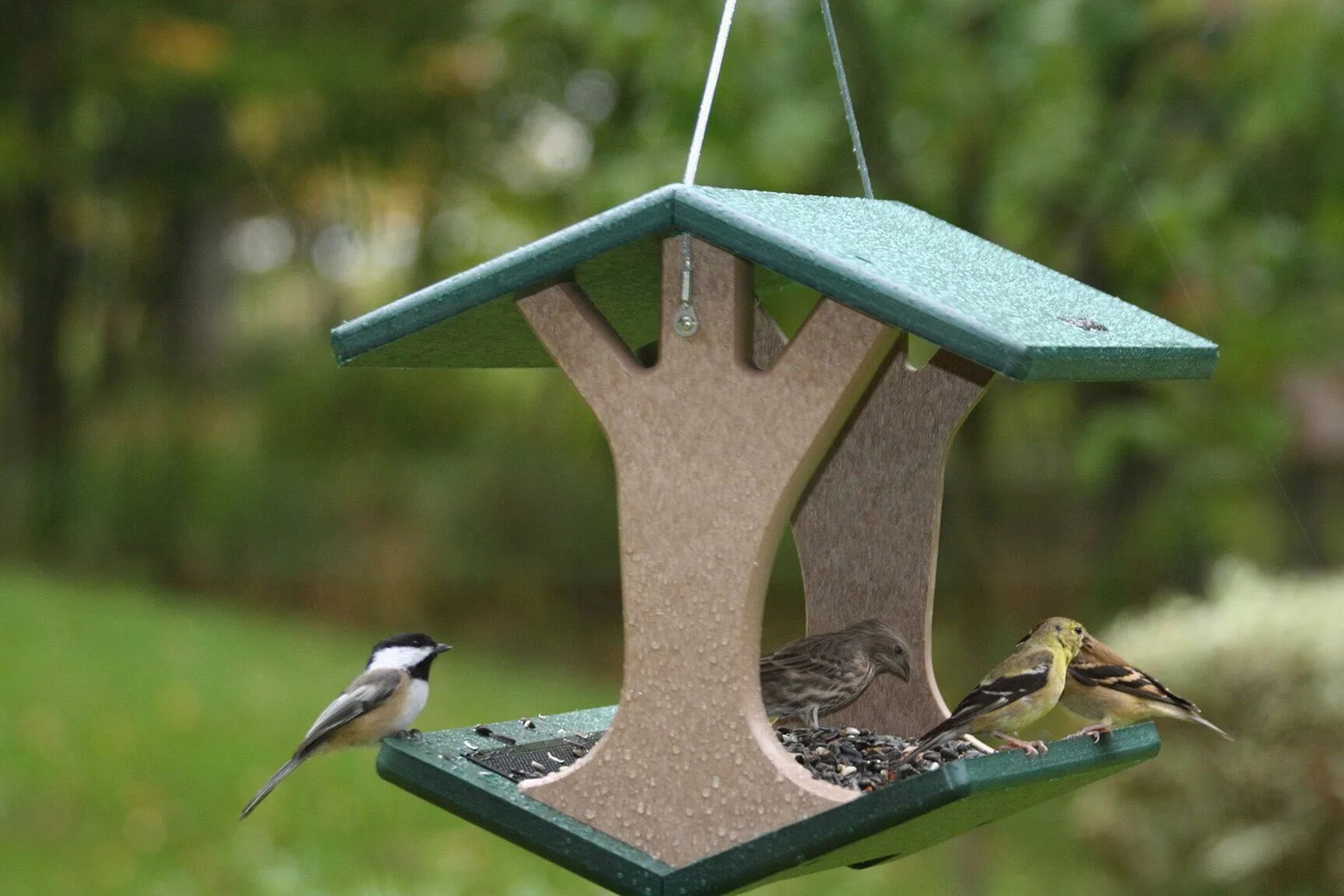 Птицы для дачи своими руками 40+ Awesome Bird Feeders Ideas That Will Fill Your Beautiful Garden - Freshouz H