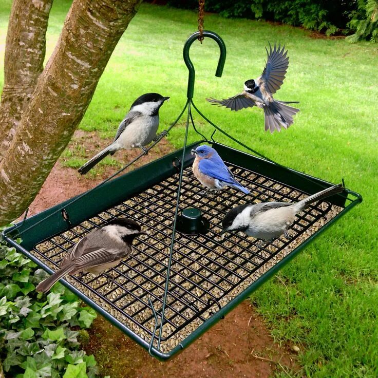 Птицы для дачи своими руками Platform Tray Bird Feeder Homemade bird feeders, Bird feeders, Diy bird feeder