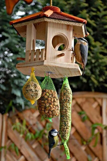 Птицы для дачи своими руками 15. 01. 2016 Bird feeders, Bird house feeder, Bird house