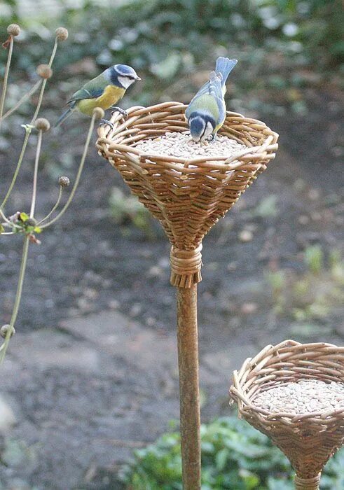 Птицы для дачи своими руками Cup on a Stick' willow craft bird feeder project - As featured in book: Willow C