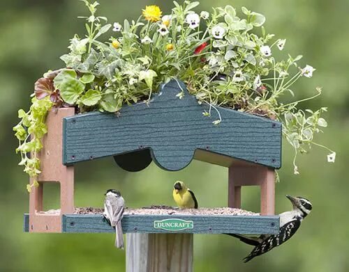 Птицы для дачи своими руками Duncraft.com: Rooftop Platform Planter Bird feeders, Bird houses, Bird house