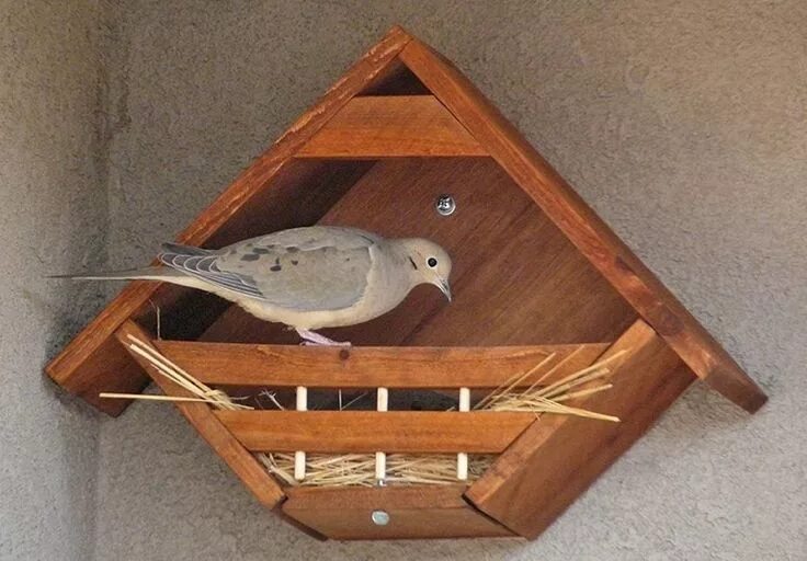 Птицы для дачи своими руками Dove nesting nook Bird house kits, Bird house plans, Bird houses diy