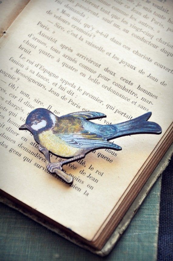 Птицы и книги фото Colorful Bird Wooden Brooch. Etsy