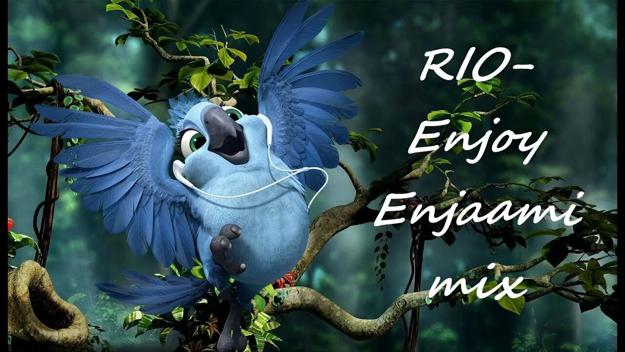 Птицы из мультиков фото Rio Enjoy Enjaami remix Enjaami animated - YouTube