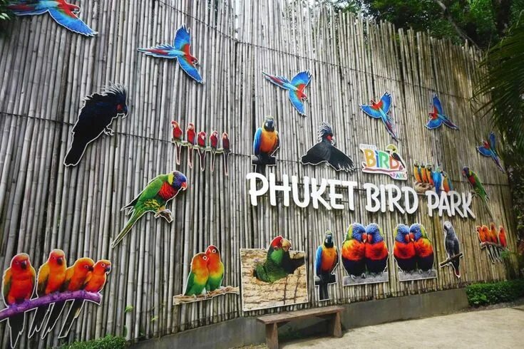 Птицы пхукета фото Phuket Bird Park, Thailand (E-Ticket Up to 55% Discount) - TouristGurus.com Phuk