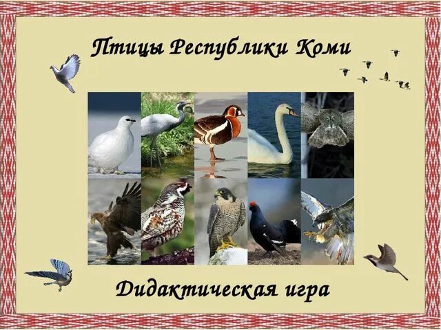 Птицы коми Foto-Gadanie.ru