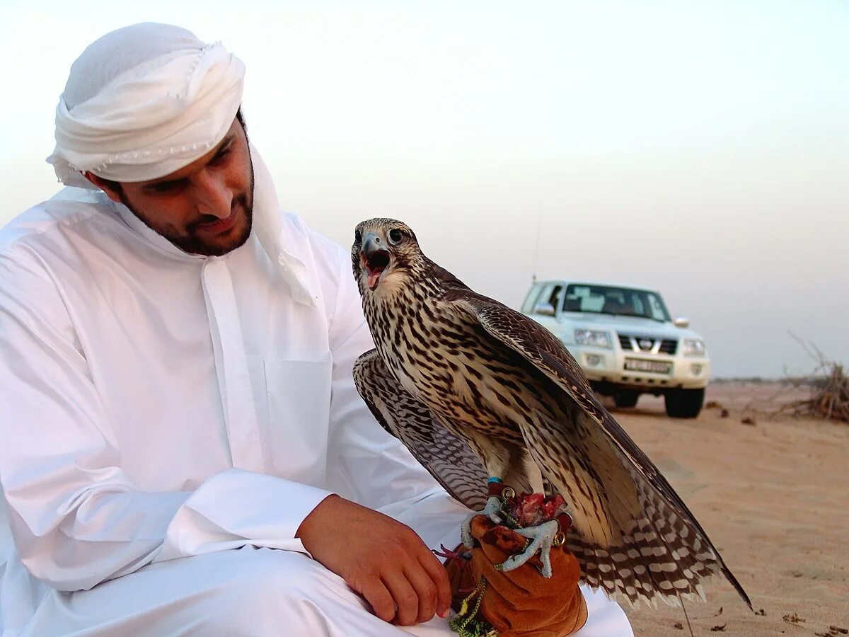 Птицы в дубае фото Файл:Theeb.jpg - Вікіпедыя