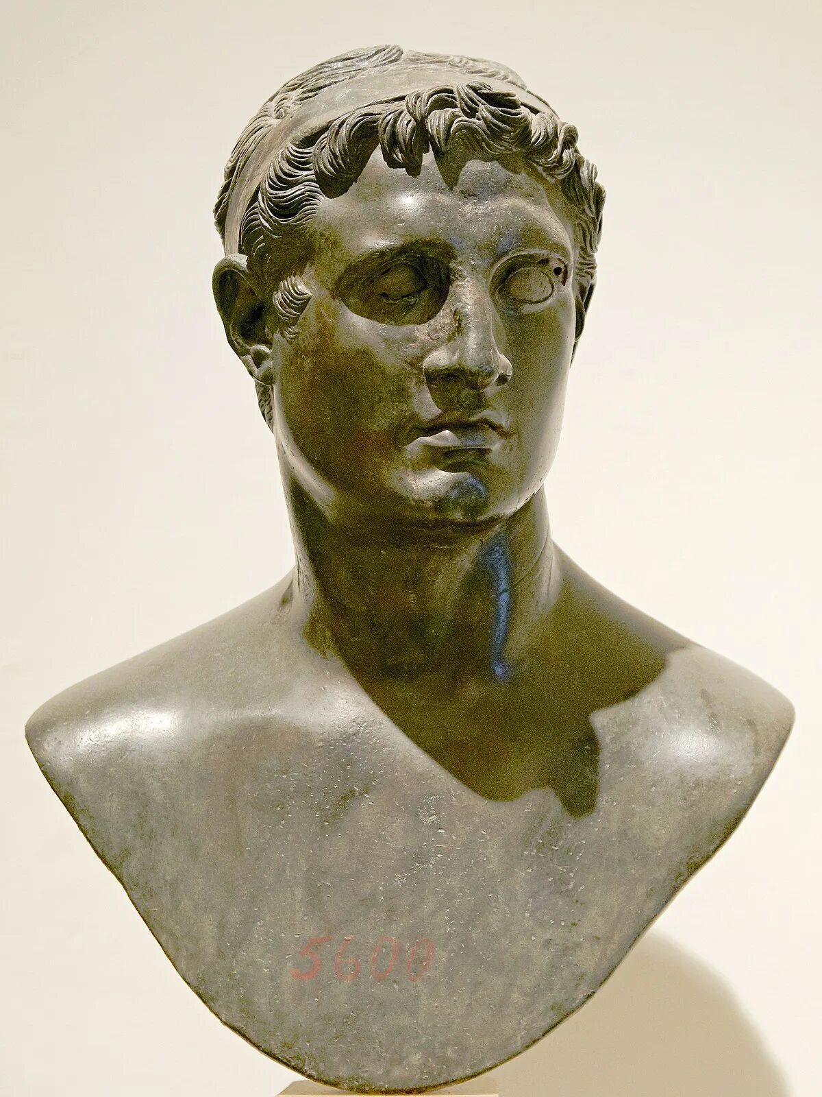 Птоломей ленинская ул 46 фото Ӳкерчĕк:Ptolemy II MAN Napoli Inv5600.jpg - Википеди