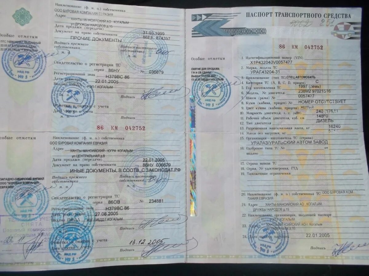 Птс и стс автомобиля фото Птс при покупки нового авто