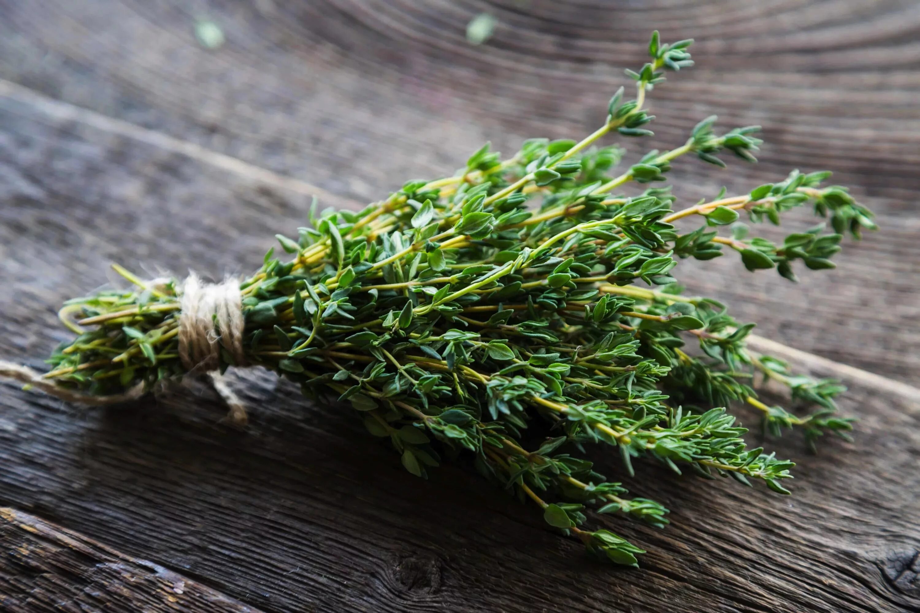 Can Herbs Treat Depression? U.S. News